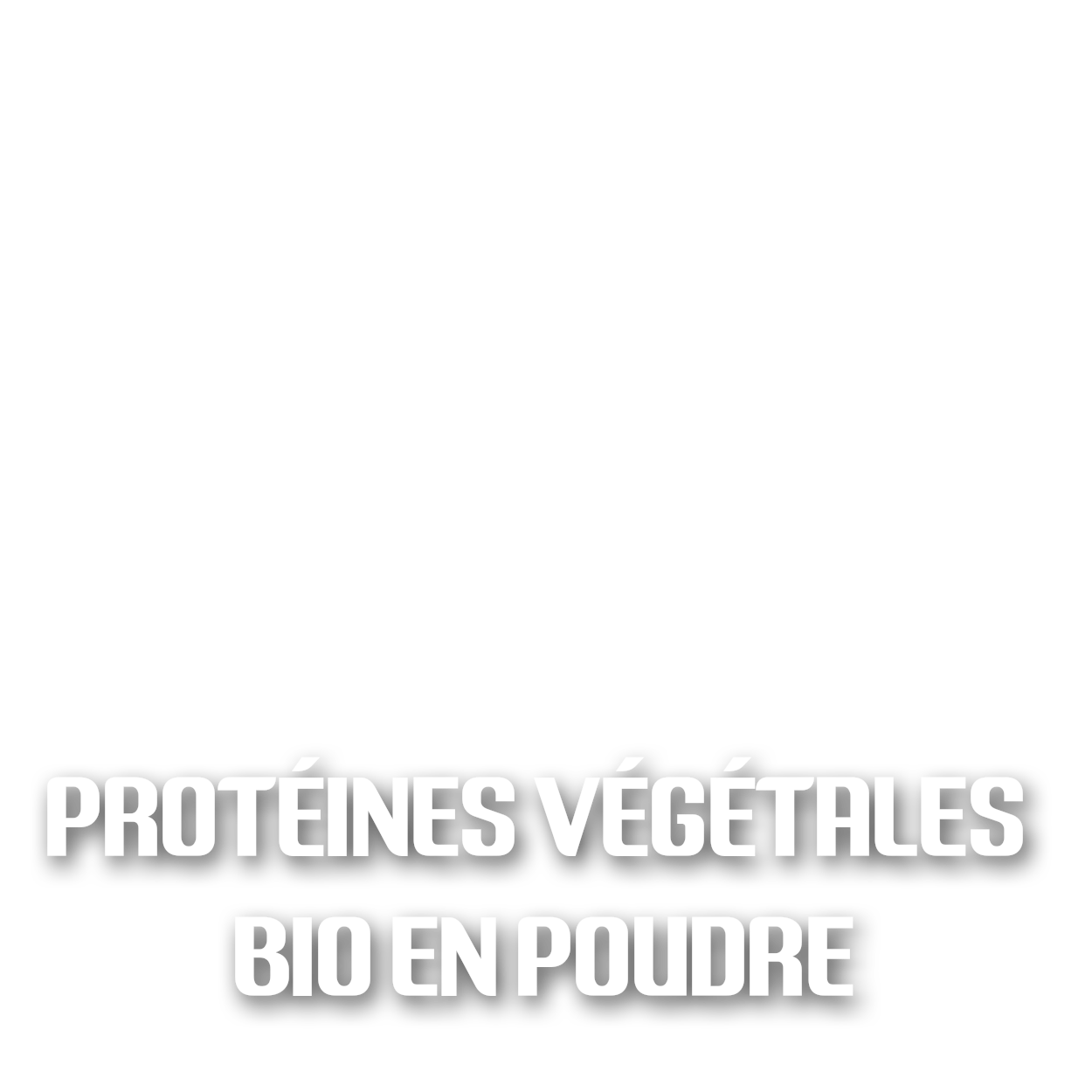 Protéines végétales bio en poudre